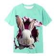 thumbnail image 3 of WOYY Boys Easter T-Shirt Bunny Print Short Sleeve Graphic Tee Cute Kids T Shirt, Sizes 1-13, 3 of 3
