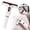 C, variant on Mini Desktop Spray mop, Suitable for Household use, Without Manual Cleaning, Very Suitable for Kitchen, Bathroom and Glass Cleaning, 9.84inch(C)
