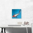 thumbnail image 2 of ARTCANVAS Tancho Koi Carp Fish Japan China Asia Canvas Art Print - Size: 12" x 12" (1.50" Deep), 2 of 9