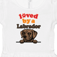 thumbnail image 4 of Inktastic Labrador Retriever Dog Gift Girls Baby Dress, 4 of 5