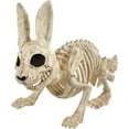 thumbnail image 1 of Bunny Bonez Skeleton, 1 of 3