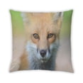 thumbnail image 2 of Ahgly Company Animals Fox Coussin Intérieur, 18 Pouces par 18 Pouces, 2 of 6