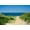 Unframed, variant on Art.com Nantucket Beach Dunes Photo Poster Art Print, Black Frame Wall Art, 44" x 32"