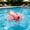 Pink, variant on Cartoon Plane Bath Thermometer Portable Water Temperature Measuring Tool for Safe Bathing for Bathtubs and Fish Tanks