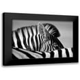 thumbnail image 1 of Pelissier, Marc 24x17 Black Modern Framed Museum Art Print Titled - Curious Zebra, 1 of 5