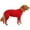 Red, variant on Dog Puppy Pajama, Fashion Casual Elastic Soft Skin-friendly Cozy Winter Warm Sleepwear SportswearJumpsuit Pet Clothes Costume for Small Medium Large Dog Daily Wear
