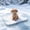 Multicolor A, variant on AuroraX Pet Cooling Mat for Cats Vibrant Indoor Pressure Activated Non Gel Ice Silk Cooling Mat for Dogs Non-Electric Non-Toxic Cooling Pads for Dogs to Lay on