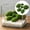 D, variant on olkpmnmk 18Pcs Artificial Moss Rocks Decorative Set, Green Moss Balls,Moss Stones, Green Moss Covered Stones, Fake Moss Decor for Floral Arrangements, Fairy Gardens and Crafting Supplies