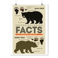 thumbnail image 2 of Creede, Colorado, Facts About Bears, Grizzly and Black Bear (9x12 Wall Art Print, Home Decor), 2 of 3
