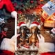 thumbnail image 5 of Seyotauo 2025 Christmas Dachshund Advent Calendar, Christmas Vacation Advent Calendar 2D Acrylic Dachshund Pendant Countdown Calendar Cartoon Ornaments Home Decorations, 5 of 9