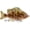 A3, variant on Fishing Lure Glide Bait: Bluegill Sunfish Lifelike Metal Joint Fishing Lures Bait with Treble Hook, 14.5cm 82g Fishing Lure for Bass Trout Perch Shad