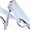 Clear, variant on ATUPEN 4'' Shower Head with Handheld,High Pressure 7 Spray Mode Chrome Showerhead Clean Tub,Tile & Pets
