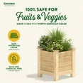 thumbnail image 5 of Greenes Fence  16" x 16" x 21" (3/4" Thick) Premium Cedar Elevated Planter, 5 of 9