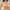 Khaki, variant on GENGING Bras Girls Woman's Embroidered Glossy Save for Later List Comfortable Breathable Bra On Clearance BraNo Rims Set