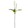 thumbnail image 1 of pitrice Artificial Bell Orchid Flower artificial Floral Decor Home Office Table Centerpiece Simulation Flower, 1 of 7