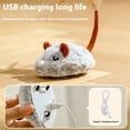 thumbnail image 4 of Methold Los ratones eléctricos resistentes y duraderos de los juguetes del gato ruedan suavemente en los juguetes eléctricos BS del ratón Juguetes para gatos Como se muestra, 4 of 6