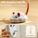 thumbnail image 5 of Billuyoard Divertidos juguetes interactivos para gatos, juguetes eléctricos para ratones durante horas de juego, juguetes automáticos para Juguetes para gatos Como se muestra, 5 of 6