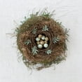 thumbnail image 2 of Soderman, Tania 12x12 Gold Ornate Wood Framed with Double Matting Museum Art Print Titled - Winter Nest, 2 of 4