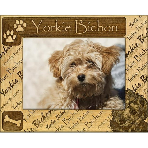 Giftworks Plus DBA0180 Yorkie Bichon Alder Wood Frame, 3.5 x 5 In