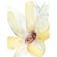 thumbnail image 2 of Goldberger, Jennifer 25x32 White Modern Wood Framed Museum Art Print Titled - Lush Flower II, 2 of 4