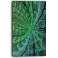 thumbnail image 2 of Fleur Fractale Verte Douce Symmétrique - Impression sur Toile Florale, 2 of 3