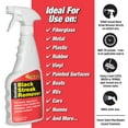 thumbnail image 5 of Black Streak Remover 16oz, 5 of 7