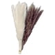 thumbnail image 3 of 2x 15 Piezas de Hierba de Pampa Seca Natural - Plumas de Caña de 17.7 Pulgadas, Ramo de Flores Secas Arreglos Boho Hogar Boda Cocina Oficina Decoració Sunnimix Hierba de pampa seca, 3 of 8