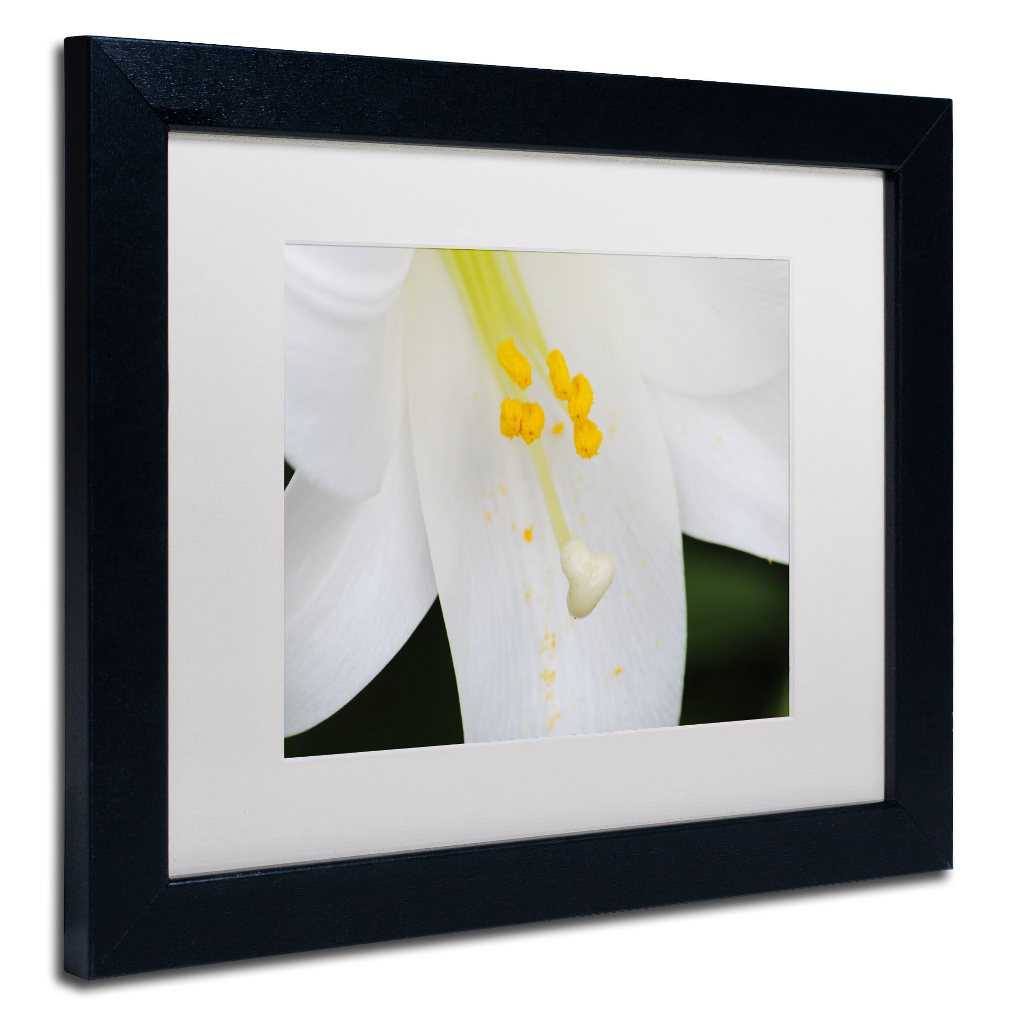 Trademark Fine Art "Adore You" Canvas Art by Monica Mize, White Matte, Black Frame