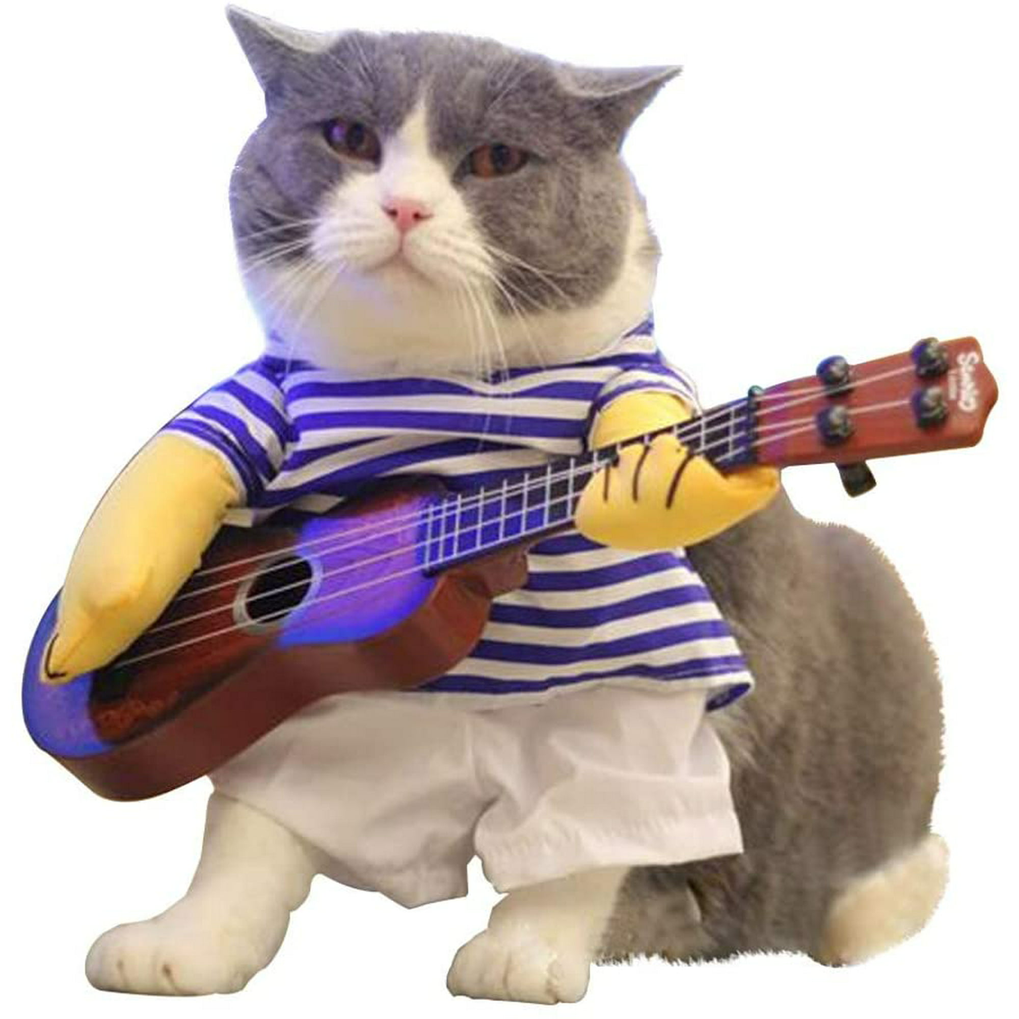 P5HAO Pet Guitar Costume - Dog Costume Funny Cat Clothes Dogs Cats Super  Funny Crazy Guitarist Style Pet Clothes Best Gift for Halloween Christmas  Birthday Cosplay Party Weekend Parties (M) | Walmart Canada