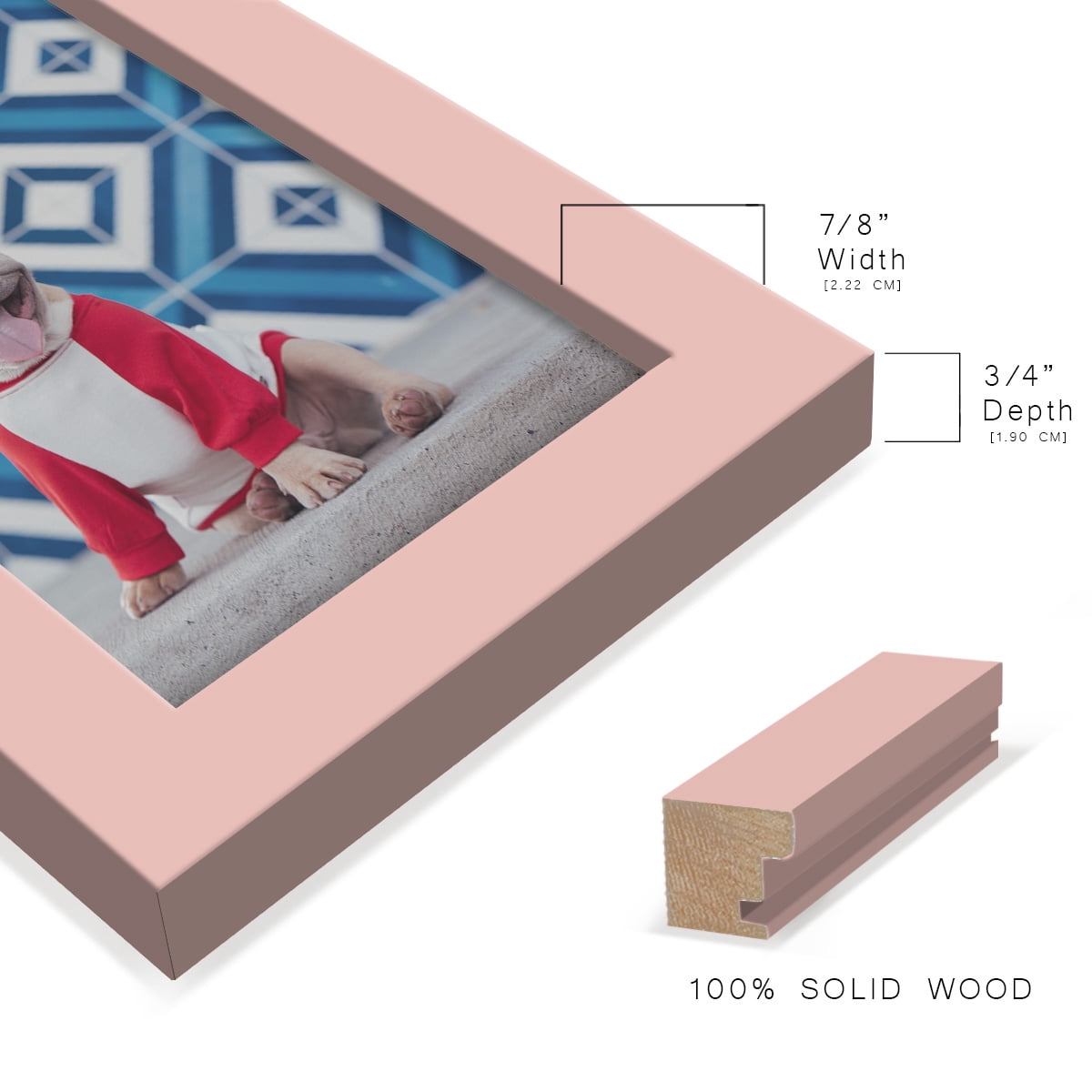 Modern 4 in. x 6 in. Pink Picture Frame (Set of 4)