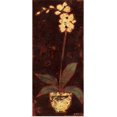 thumbnail image 1 of Great BIG Canvas | Rolled Norman Wyatt Poster Print entitled Gilded Orchid II, 1 of 4