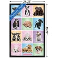 thumbnail image 3 of Keith Kimberlin - Puppies - Cuties Grid, 3 of 5