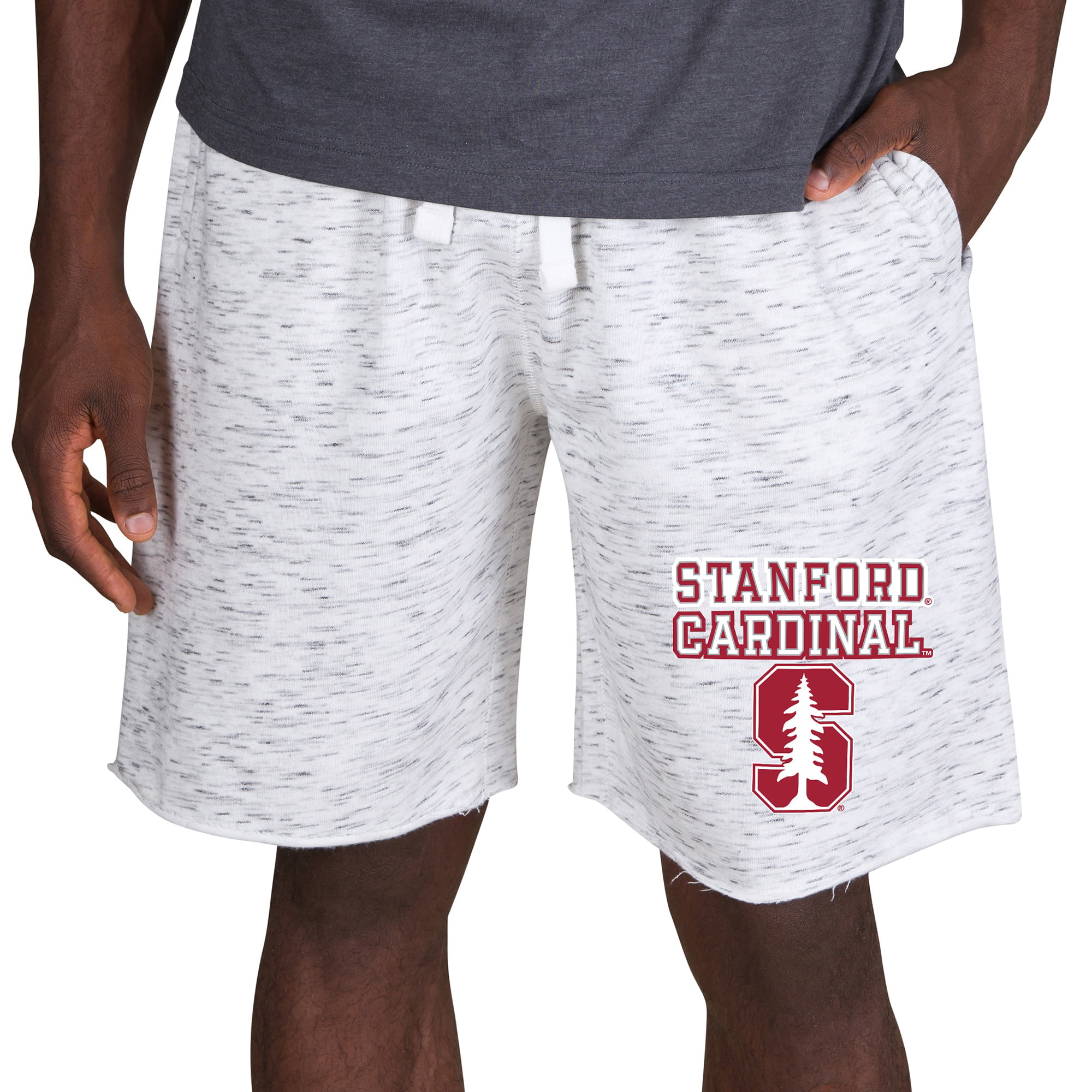 L/XL, Stanford Cardinal - Argyle NCAA Super Premium College Fan Socks 