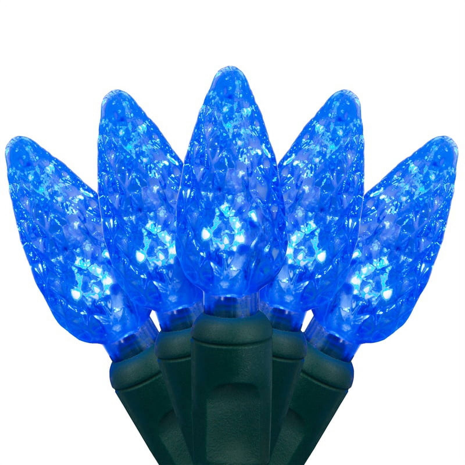 Wintergreen Lighting C6 Blue Christmas Lights LED String Lights, Set of 70 Lights on Green Wire, 24 Ft - Indoor/Outdoor Lighting