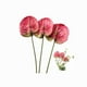 thumbnail image 4 of 3 Flores de Anturio Artificiales de 22.8 Pulgadas para DecoracióN del Hogar, Ramo y Hojas y DecoracióN de Boda Nupcial (Rosa), 4 of 6