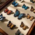 thumbnail image 6 of 400Pcs 4 Sizes Stainless Steel Insect Pins 0.25/0.3/0.35/0.4mm Specimen Entomology Pins and Butterfly Collections Needle, 6 of 7