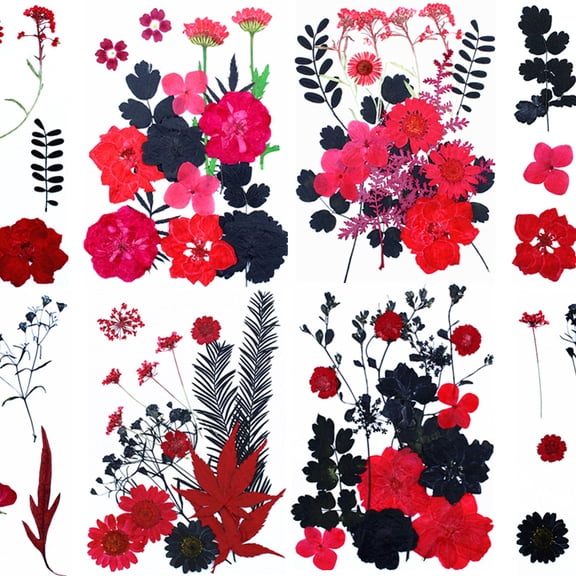 64PCS Red Black Dried Pressed Flowers for Resin - Real Nature Flowers Herb Set for Christmas DIY Candle Soap Vase Making Nail Card Scrapbook Art Craft Floral Decors