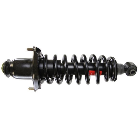 Rear Left Strut and Coil Spring Assembly - Compatible with 2003 - 2006 Toyota Matrix AWD 2004 2005