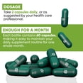 thumbnail image 3 of Herboganic Moringa Capsules 500mg 60 Capsules - 100% Natural Vegetarian Capsules, 3 of 8
