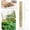 Light Brown, variant on 50Pcs / 3ft Bamboo Plant Stakes for Indoor Outdoor Plants, Garden Plant Support Sticks, Poles for Tomato Vegetables Beans Trees Potted Climbing Plants(0.32''-0.4'')