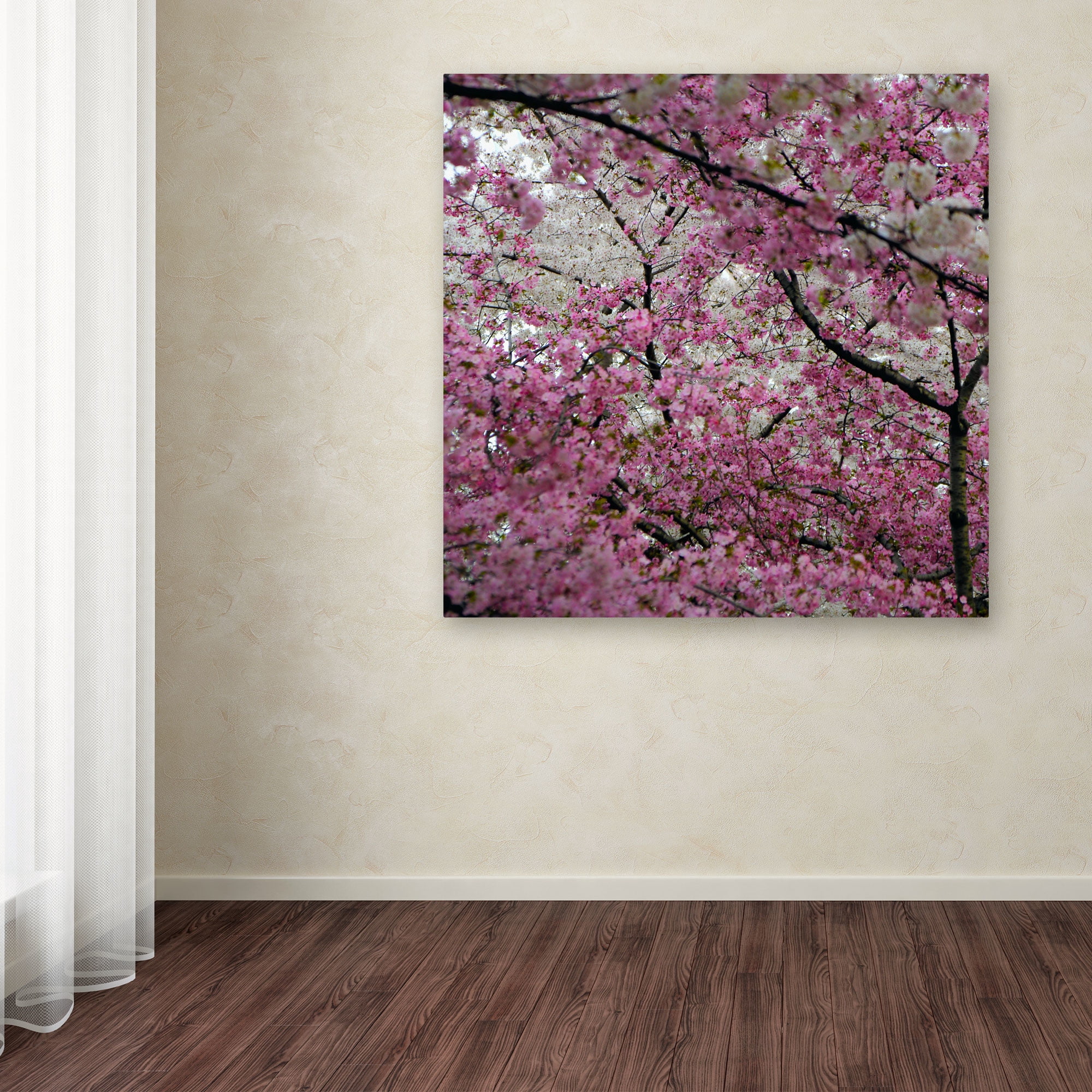Trademark Fine Art "Cherry Blossoms 2014-3" Canvas Art by CATeyes