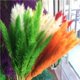 thumbnail image 3 of Wosthever 15 Pieces Small Dried Flower Wedding Anniversary Decoration Bedroom Birthday Celebration Props Engagement Dormitory Kits de decoración para fiestas Numero 3, 3 of 6