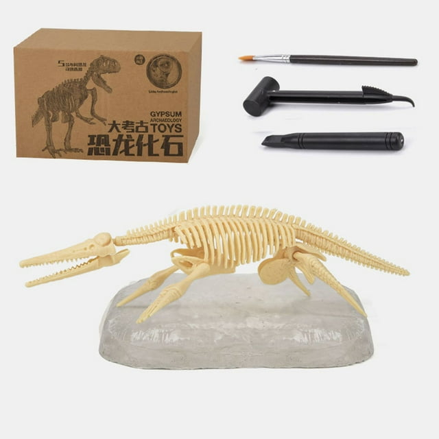 Xihbxyly Kit de Excavación de Fósiles de Dinosaurio, Resina, Herramientas de Excavación Incluidas, Simulación Arqueológica Realista, Aprendizaje Práctico, Actividad Stem, Regalo Perfecto, 1 Yeso, 3 H
