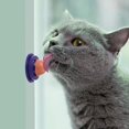 thumbnail image 2 of Cat Snacks Catnip Sugar Candy Licking Nutrition Gel Energy Ball Toy (Tuna), 2 of 6