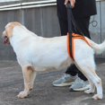 thumbnail image 5 of Necvior Portable Adjustable Dog Harness Bracket Auxiliary Belt for Pets Rear Leg Surgery, 5 of 11