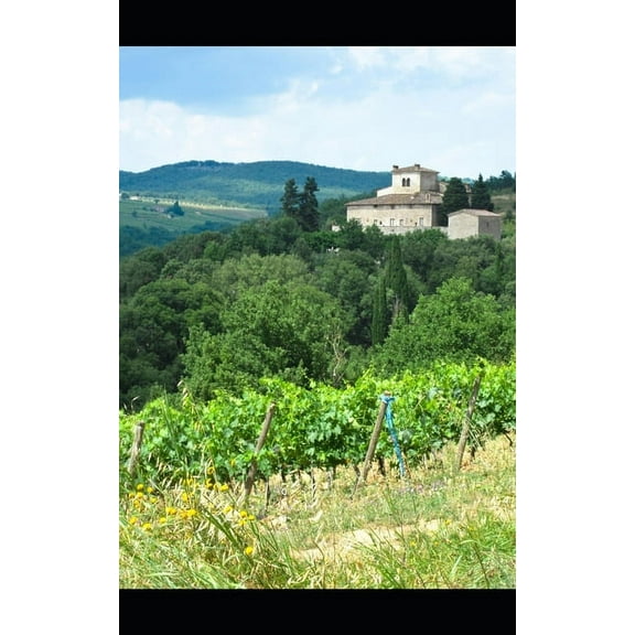 Joe Santini: King of the Woods: A prisoner of love and his escape (Paperback)