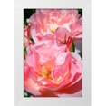 thumbnail image 3 of Alan Hausenflock 13x18 White Modern Wood Framed Wall Art Titled - Wild Roses I, 3 of 5