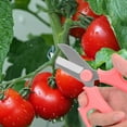 thumbnail image 5 of Tijeras para flores, tijeras de jardinería de materiales de primera calidad para jardineros, hojas de acero inoxidable resistentes al desgaste y la corrosión, con mango de agarre cómodo, ideales para, 5 of 5