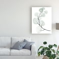 thumbnail image 3 of Trademark Fine Art 'Silver Dollars I' Canvas Art by Jennifer Paxton Parker, 3 of 3