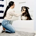 thumbnail image 5 of DogBuddy Dog Door Mat, Super Absorbent Dog Mat, Waterproof Doormat, Washable Rugs for Pets, Non-Slip Floor Mats for Front Door, Entryway, Back Door, Mud Room, Garage, Dog Accessories (Runner, Mist), 5 of 9